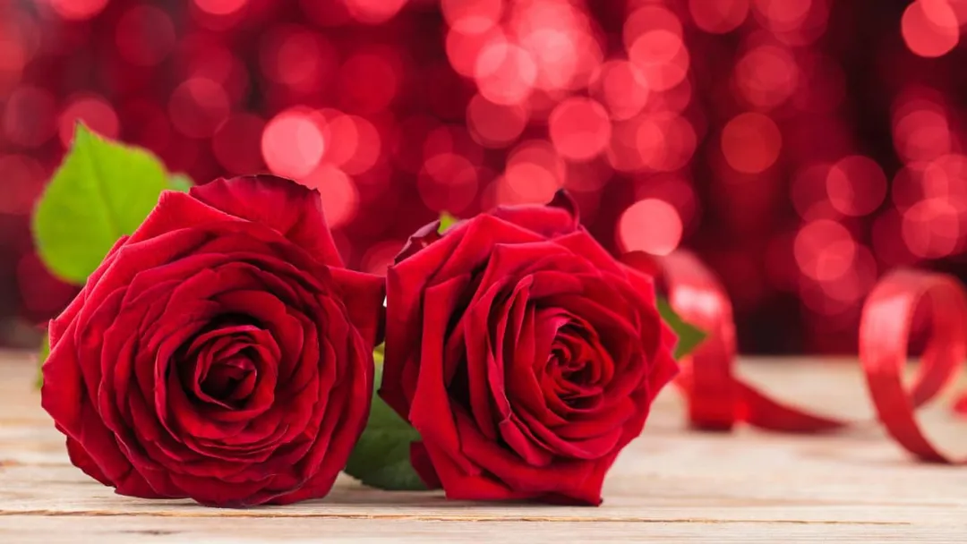 Most Beautiful Flowers