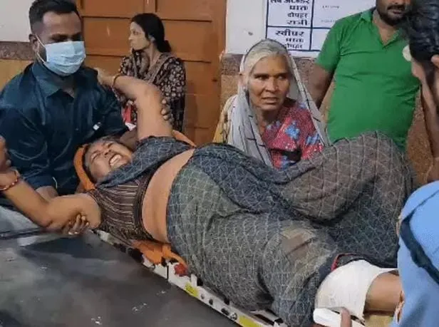 Mandsaur
