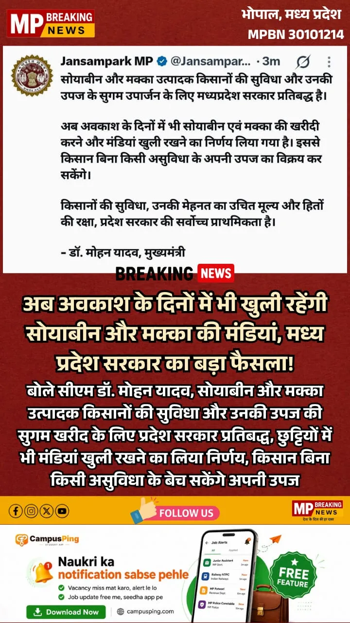 MP Government decision