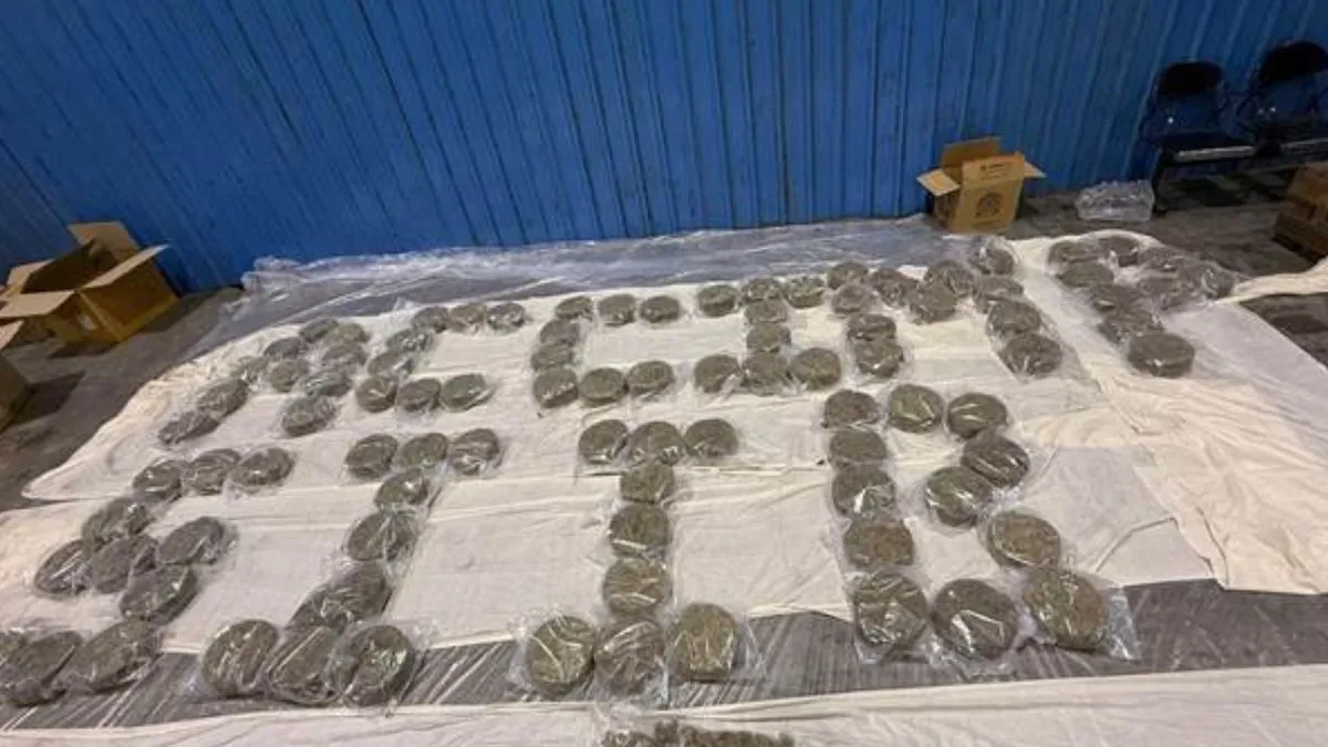 Hydroponic Ganja Seized