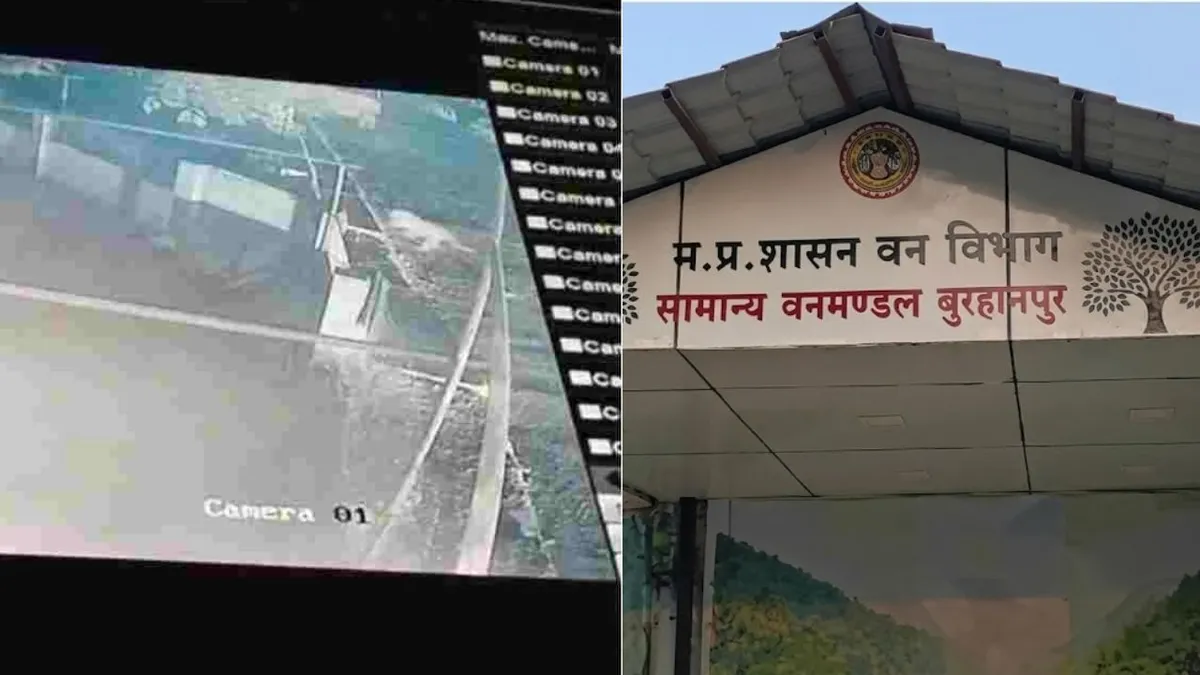 बुरहानपुर के मैरिज हॉल में घुसा तेंदुआ, रात का सीसीटीवी फुटेज सामने आते ही मचा हड़कंप