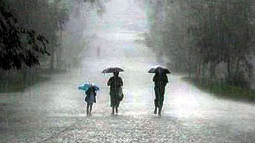 WEATHER