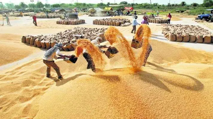 किसानों