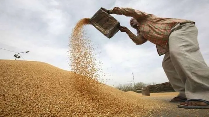 mp farmers