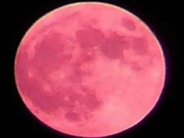 Strawberry Moon 2021