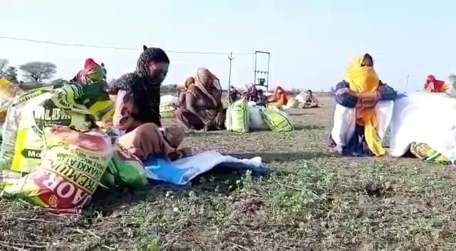 कोरोना काल में जिला जज का मानवीय चेहरा आया सामने, बांछड़ा समुदाय के 25 परिवारों को बांटा 2 माह का राशन