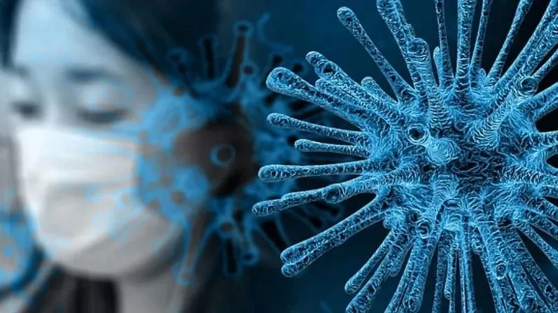 mp coronavirus upadte