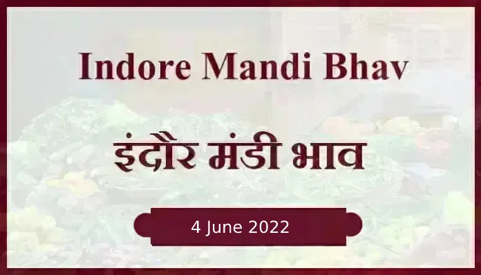Mandi bhav: 4 जून 2022 के Today’s Mandi Bhav के लिए पढ़े सबसे विश्वसनीय खबर