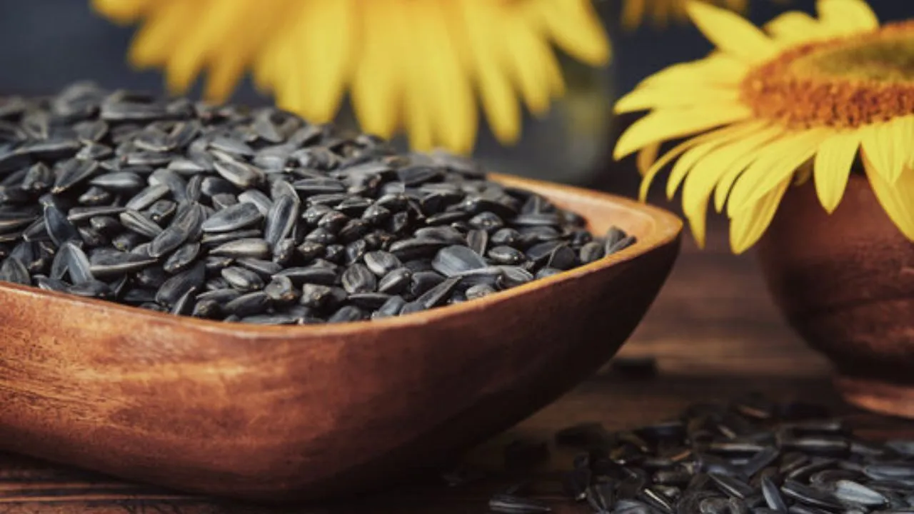 sunflower seeds benefits