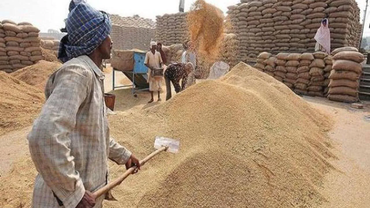 Wheat procurement