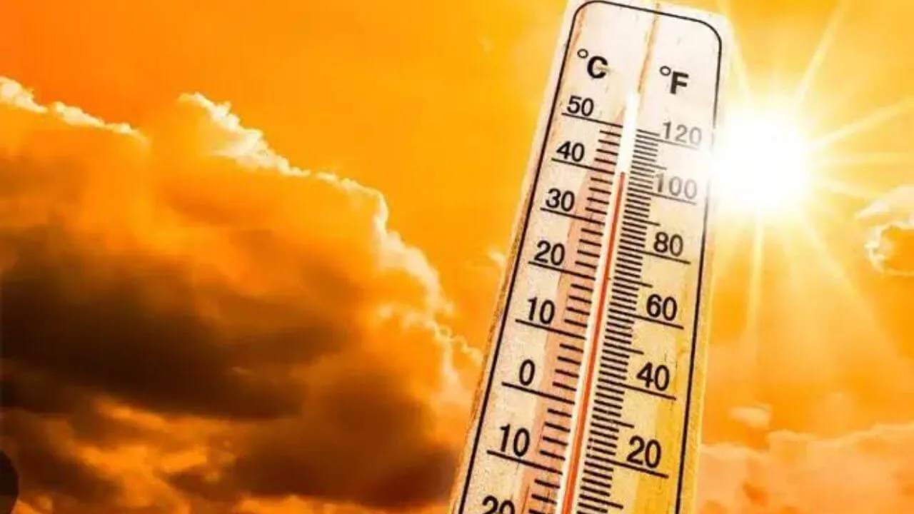 Heatwave in India