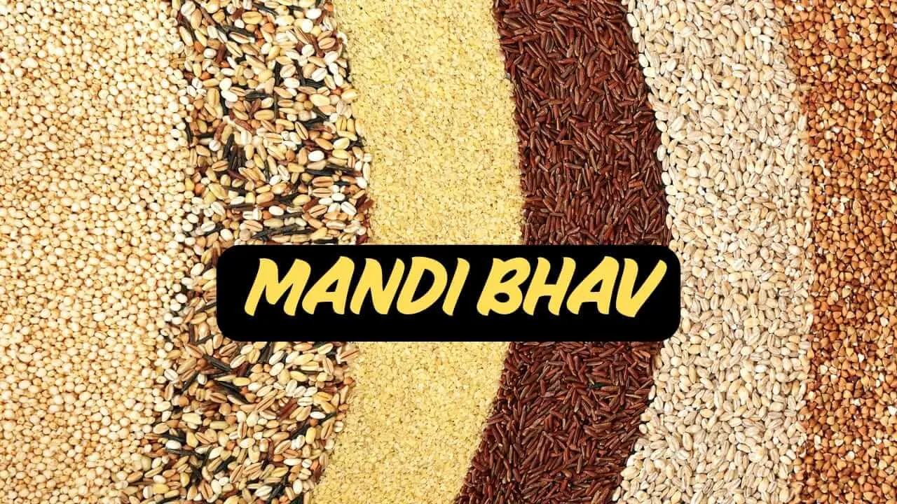 Indore Mandi Bhav