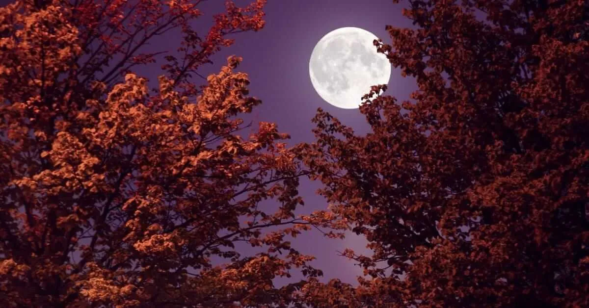 Sharad Purnima 2025