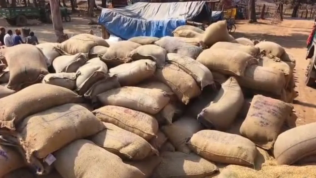 paddy procurement centres
