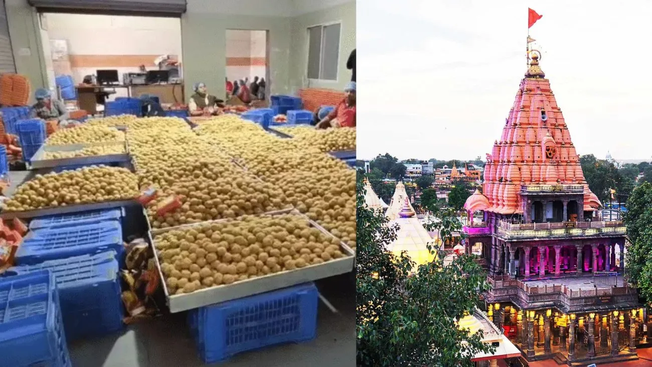 महाकाल मंदिर में नई हाईटेक मशीनों के जरिए लड्डू प्रसाद बनाने की तैयारी, टेंडर हुआ जारी, गड़बड़ी पर 50 लाख रुपए तक का जुर्माना