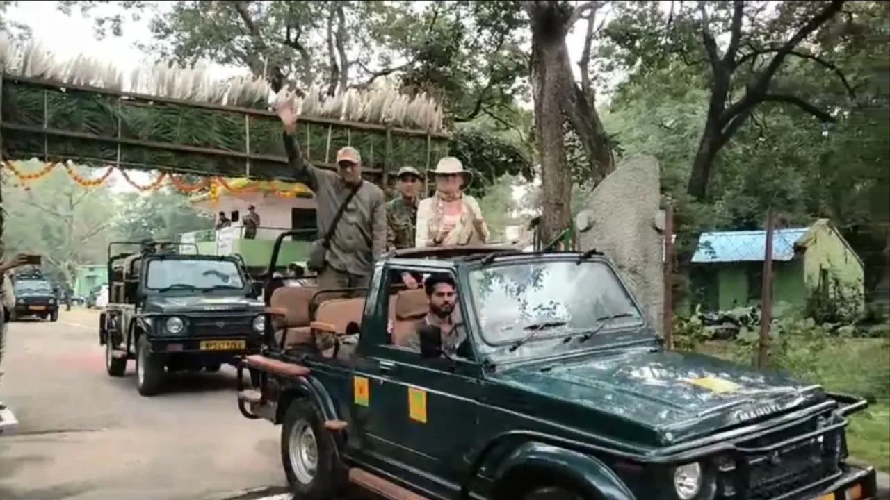 Bandhavgarh Tiger Reserve Jungle Safari