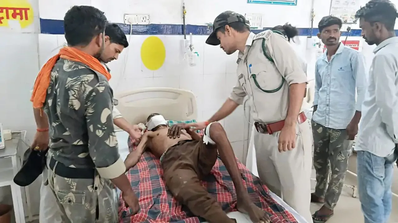 पन्ना में भैंस चराने जा रहे बुजुर्ग पर बाघ का हमला, वन विभाग ने हाथियों की मदद से शुरू की सर्चिंग