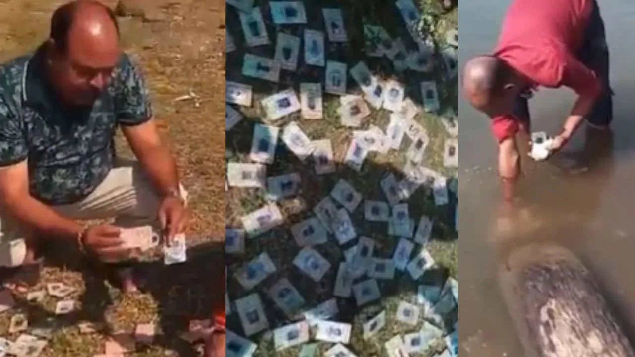 महेश्वर में नर्मदा घाट पर बड़ी संख्या में मिले वोटर ID कार्ड, कांग्रेस ने भाजपा और चुनाव आयोग को घेरा, उठाए सवाल