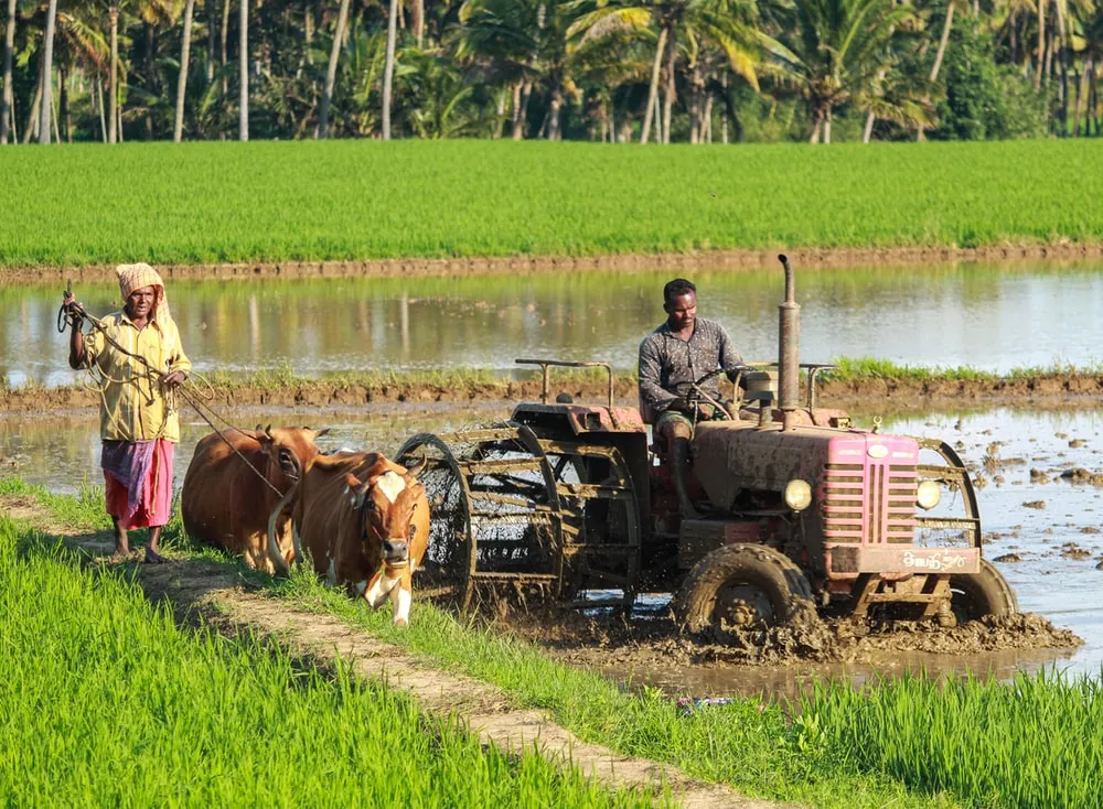 budget farmers