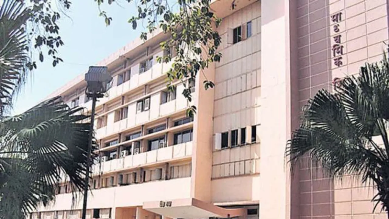 mp board