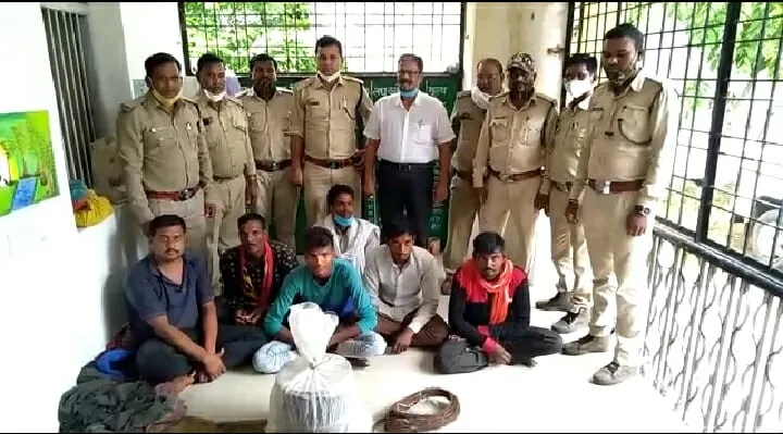 Chhindwara: वन विभाग ने पकड़े 06 शिकारी, करेंट लगाकर करते थे वन प्राणियों का शिकार