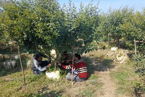 जबलपुर : छात्र थ्योरी के साथ-साथ अब प्रैक्टिकल के लिए भी पूरी तरह से तैयार – वरिष्ठ वैज्ञानिक डॉ मोनि थॉमस