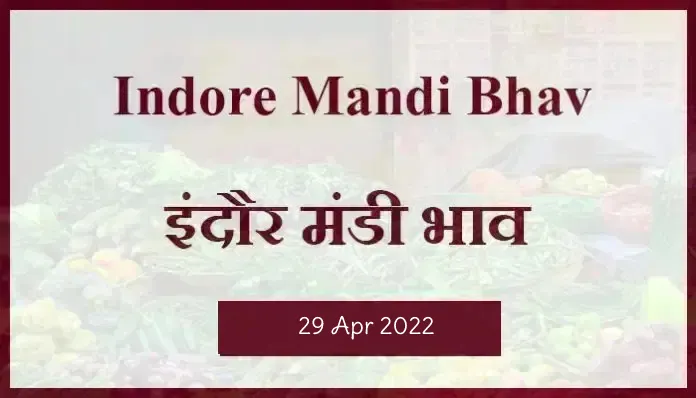 Mandi bhav: 29 अप्रैल 2022 के Today’s Mandi Bhav के लिए पढ़े सबसे विश्वसनीय खबर