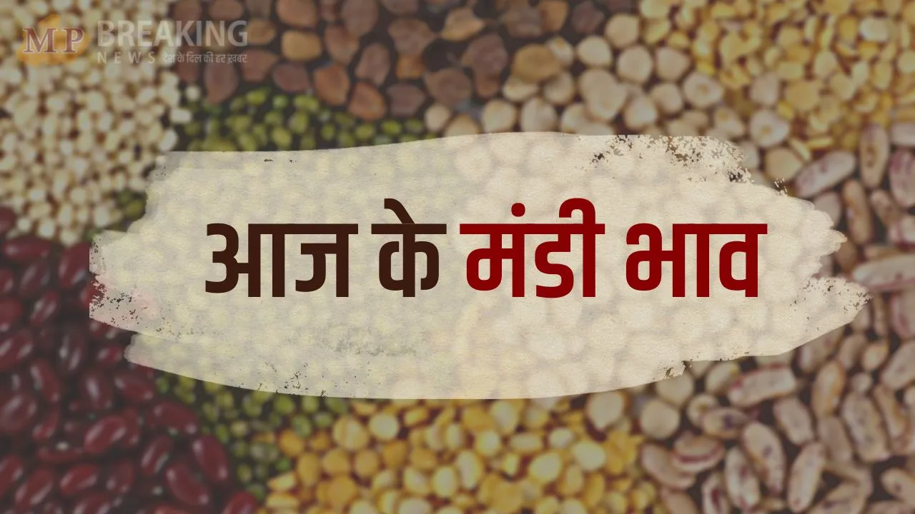 Mandi Bhav