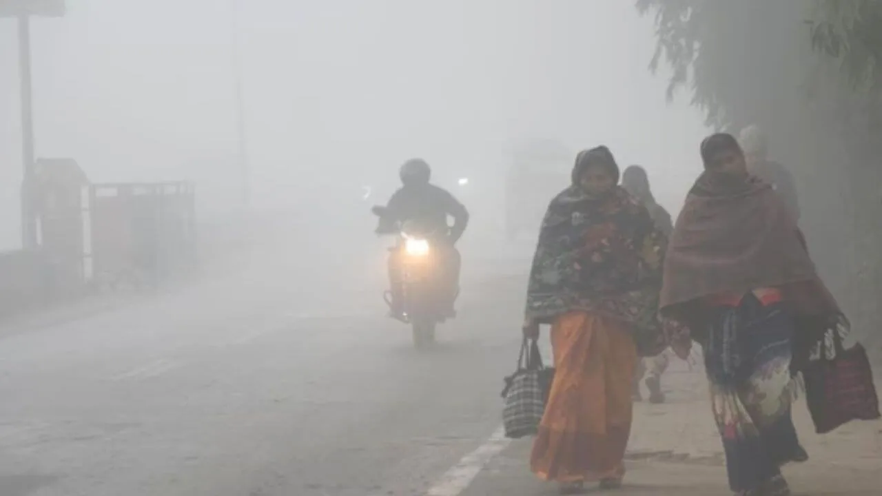 mp Weather