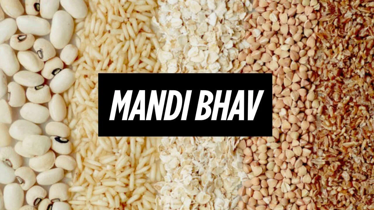 Indore Mandi Bhav