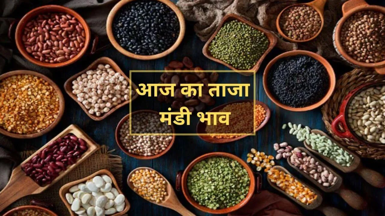Mandi Bhav