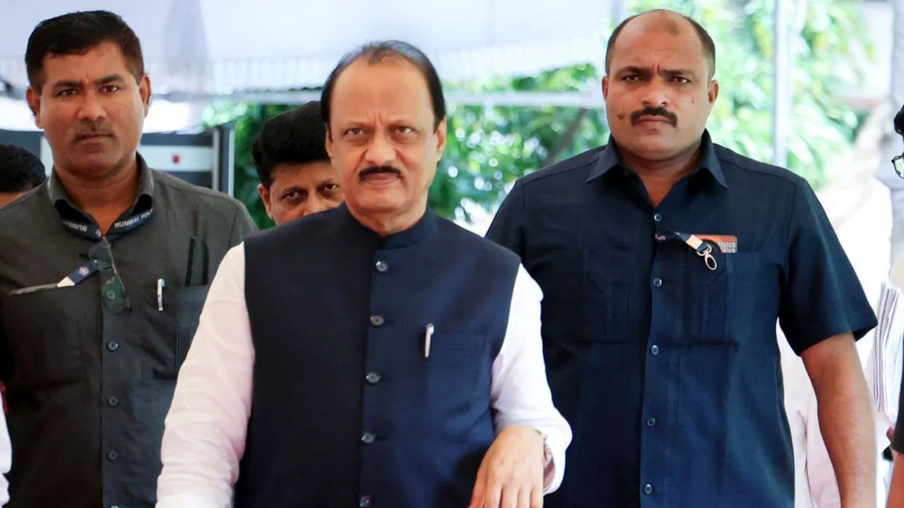 बीएमसी चुनाव से पहले अजित पवार का दांव, नवाब मलिक बने चुनाव मैनेजमेंट कमेटी के चेयरमैन