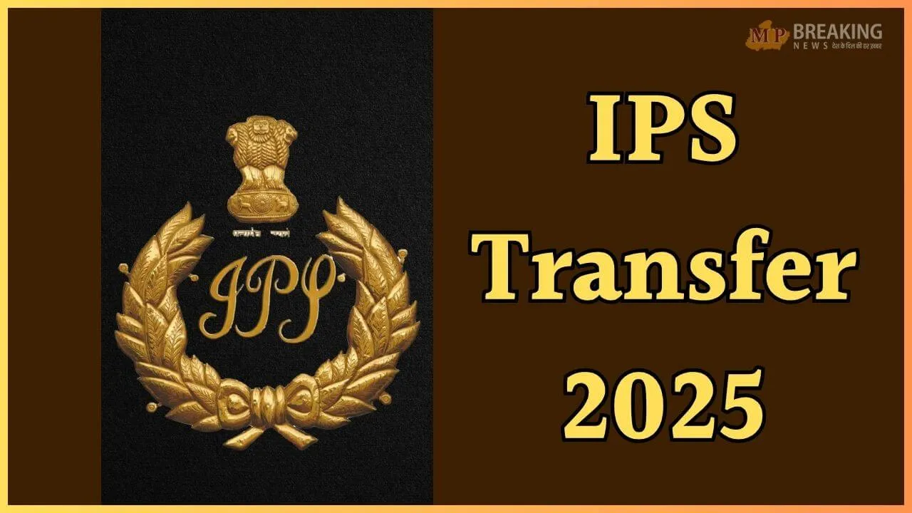IPS Transfer 2025