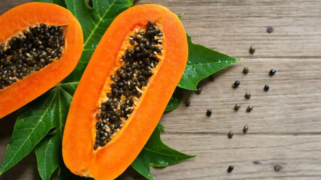 Papaya
