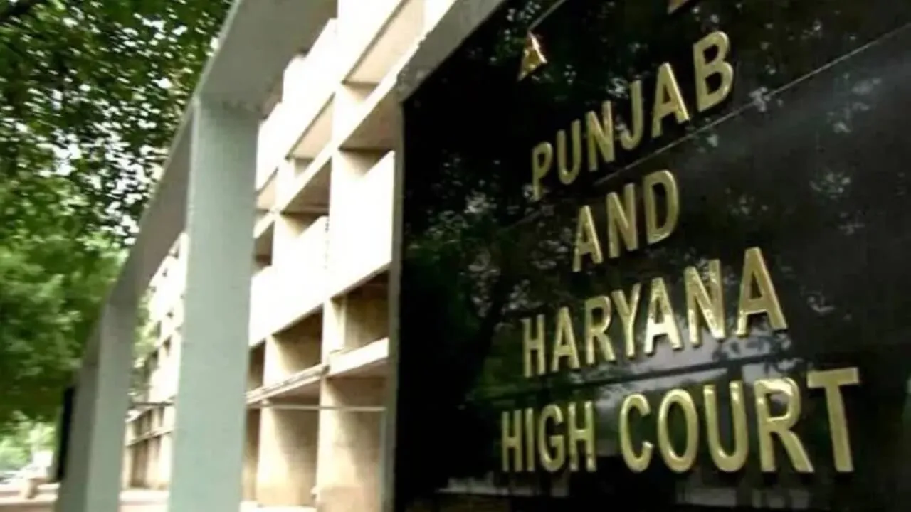 पंजाब हरियाणा हाईकोर्ट का बड़ा फैसला, BSF जवानों की जबरन सेवानिवृत्ति रद्द, जानें पूरा मामला