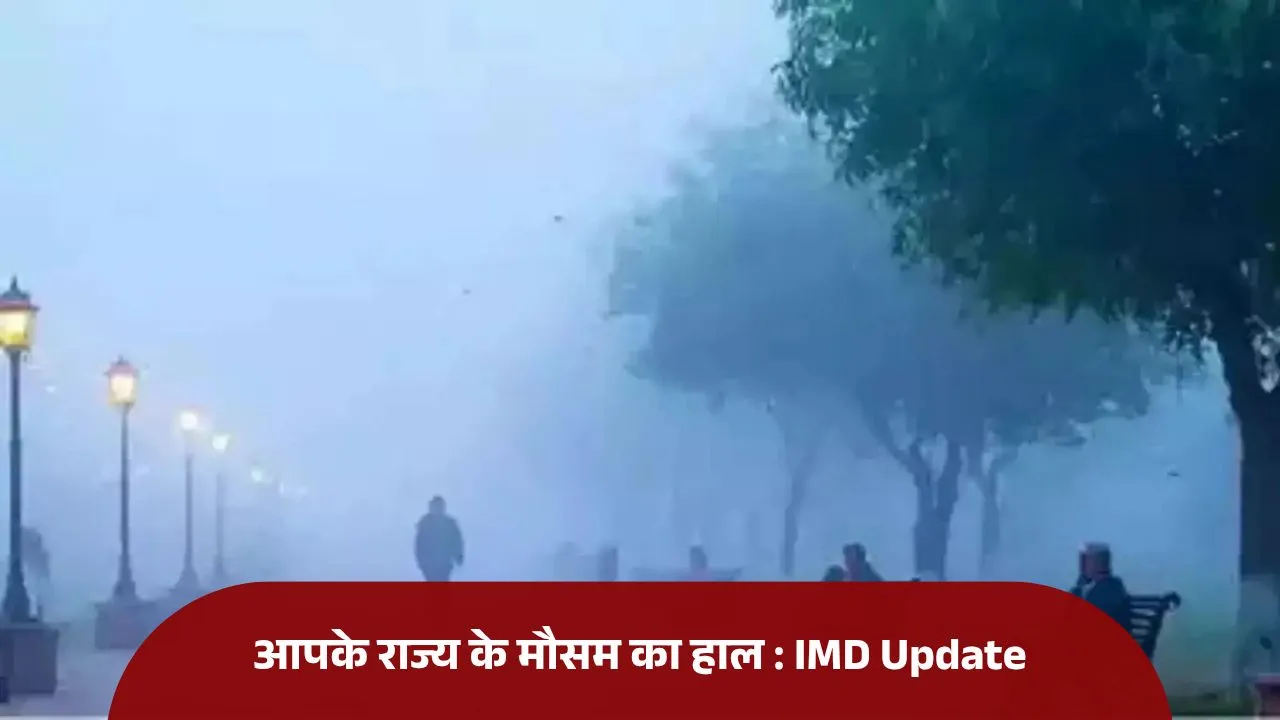 IMD Weather Update: देश के कई राज्यों में शीतलहर का अलर्ट, दिल्ली-NCR में विजिबिलिटी गिरी, MP में लुढ़का पारा