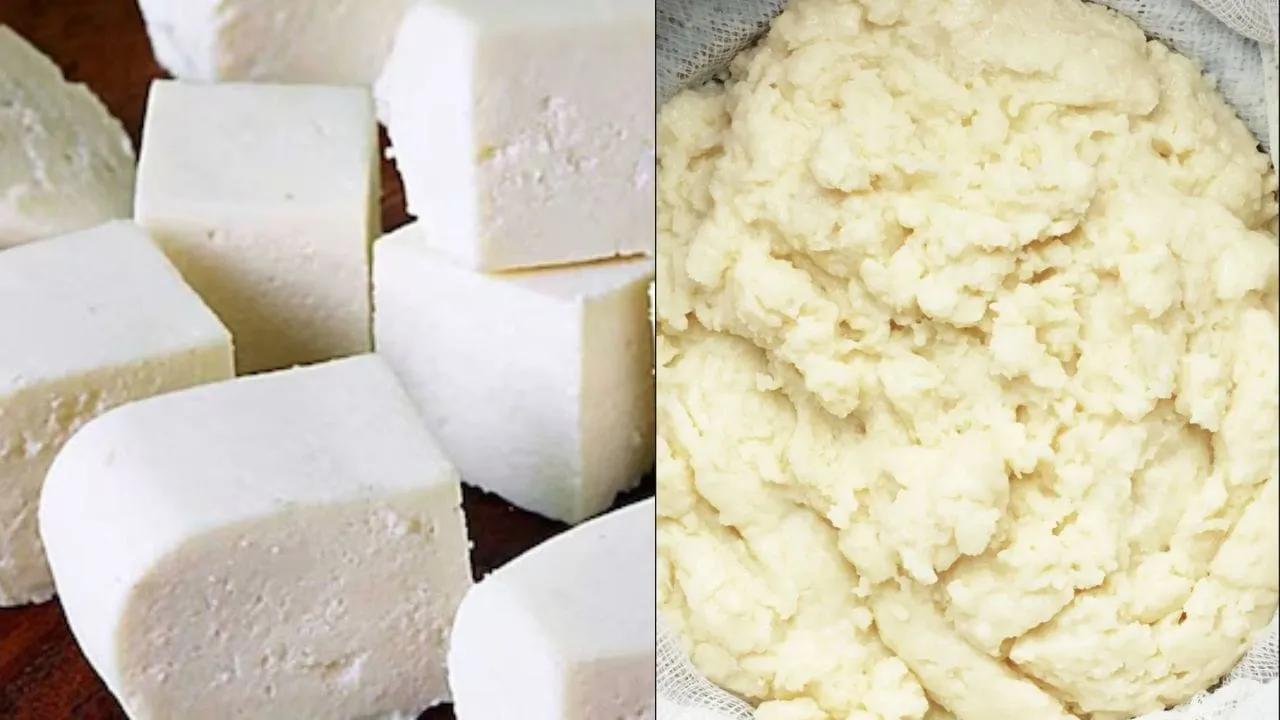 MP government ban analog paneer