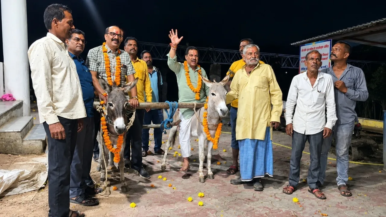 अच्छी बारिश के लिए मंदसौर में अनोखा टोटका, गधों से कराई नमक-उड़द की बुवाई