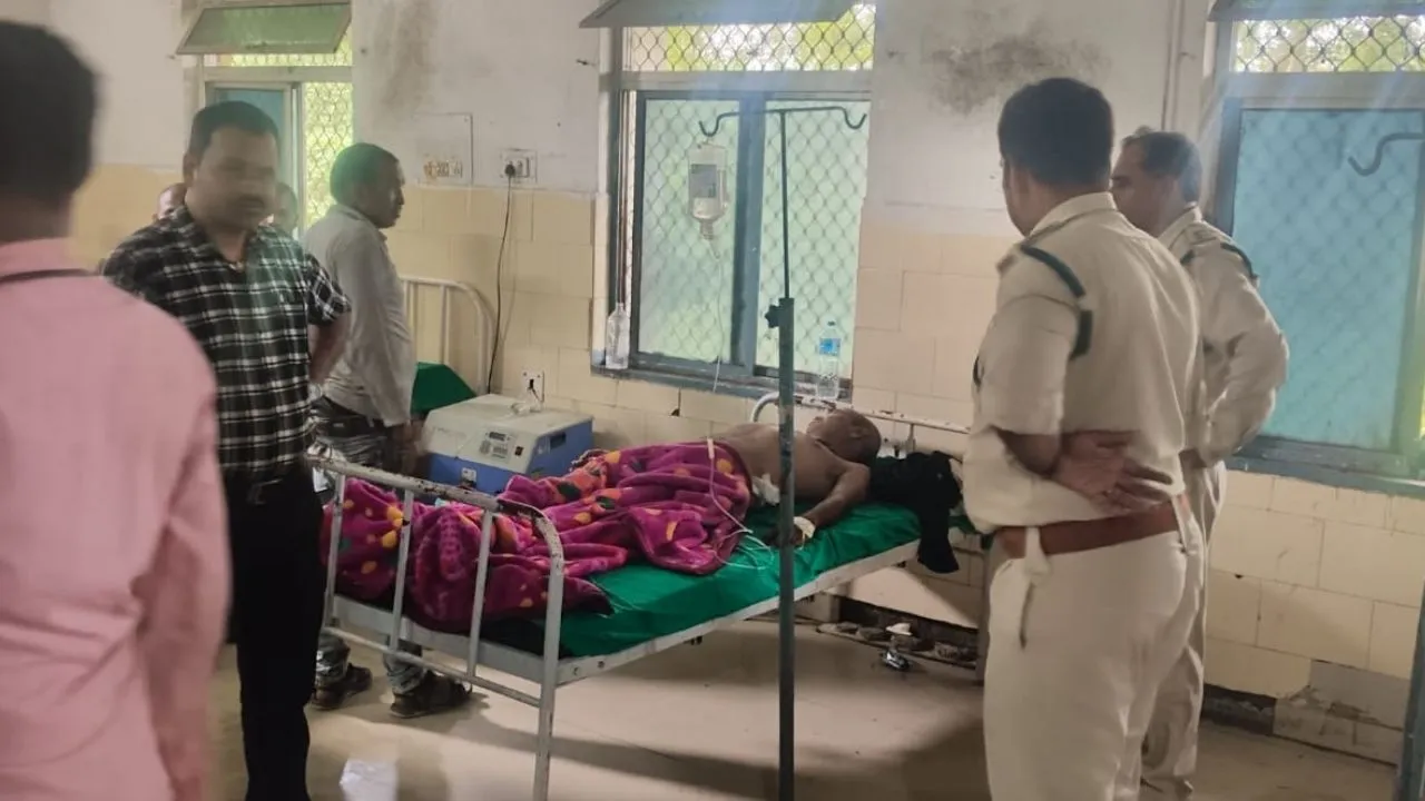 उमरिया के ग्रामीण इलाकों में दो बाघों का मूवमेंट, युवक पर किया हमला, अस्पताल में भर्ती, वन विभाग ने बढ़ाई निगरानी