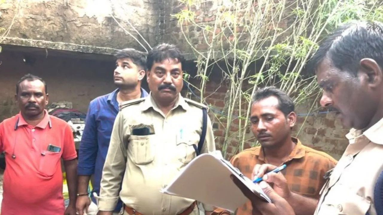 सिंगरौली: घर के पीछे उगा रखा था गांजा, पुलिस ने 8 किलो से अधिक के 11 पौधे किए जब्त, आरोपी गिरफ्तार