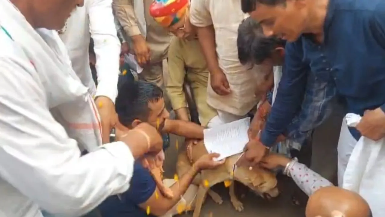 खंडवा में किसानों का अनोखा विरोध, कलेक्टर नहीं मिलने नहीं आए तो कुत्ते के गले में लटका दिया ज्ञापन, जानें पूरा मामला