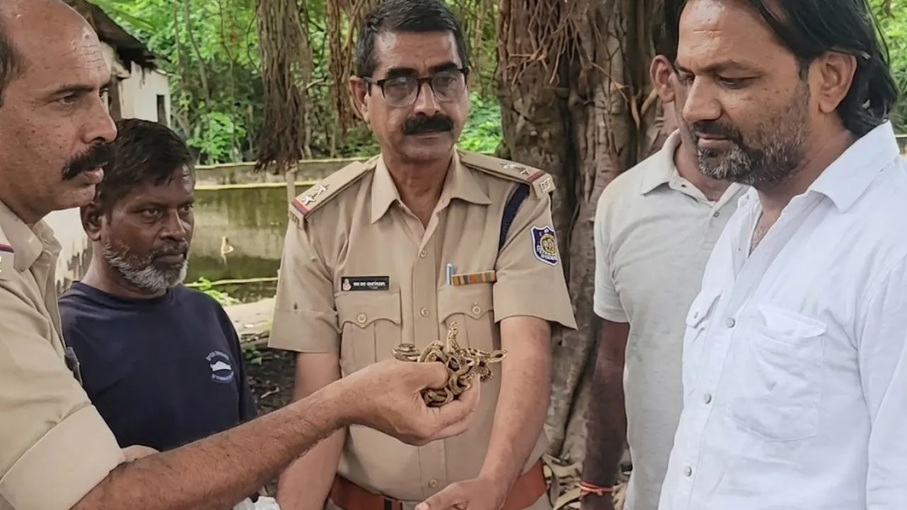 कुएं के पास 540 ग्राम गांजे के साथ पकड़ा आरोपी, 2019 की लूट में भी दर्ज था मामला, खंडवा पुलिस ने की कार्रवाई