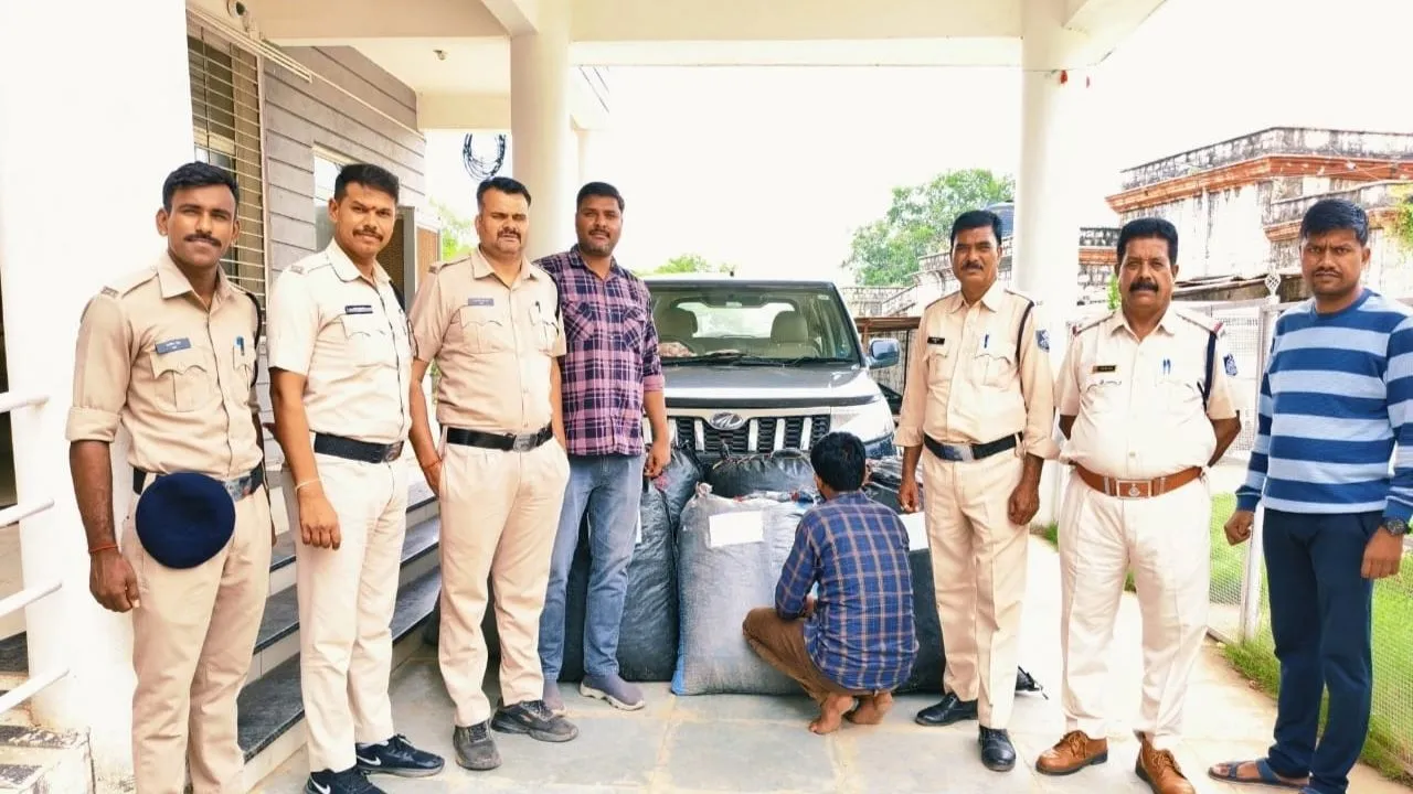 नीमच पुलिस की बड़ी कार्रवाई, MP-राजस्थान बॉर्डर पर 1 क्विंटल 41 किलो अवैध डोडाचूरा जब्त, एक आरोपी गिरफ्तार