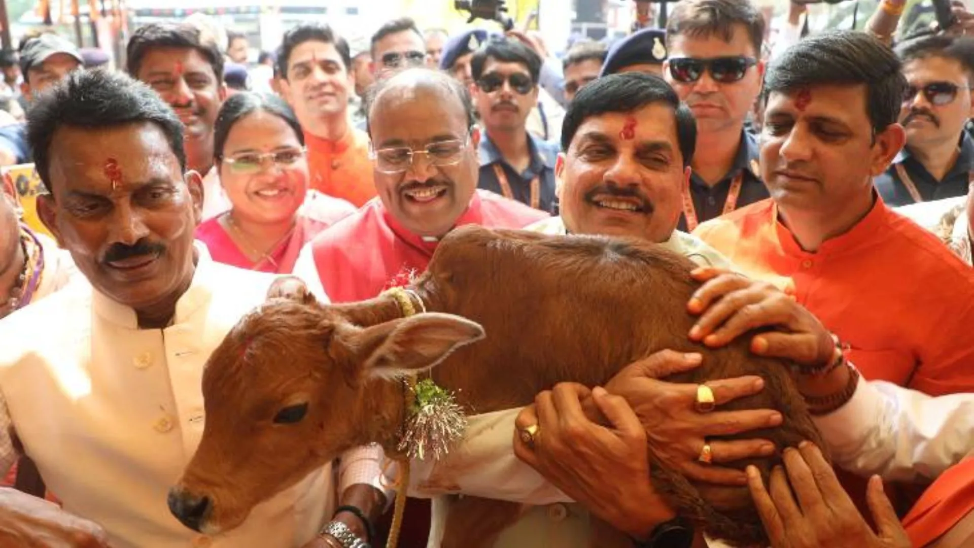 MP की गौशालाओं के लिए 66.74 करोड़ रूपये, आज इंदौर से एक क्लिक में राशि ट्रांसफर करेंगे CM मोहन यादव