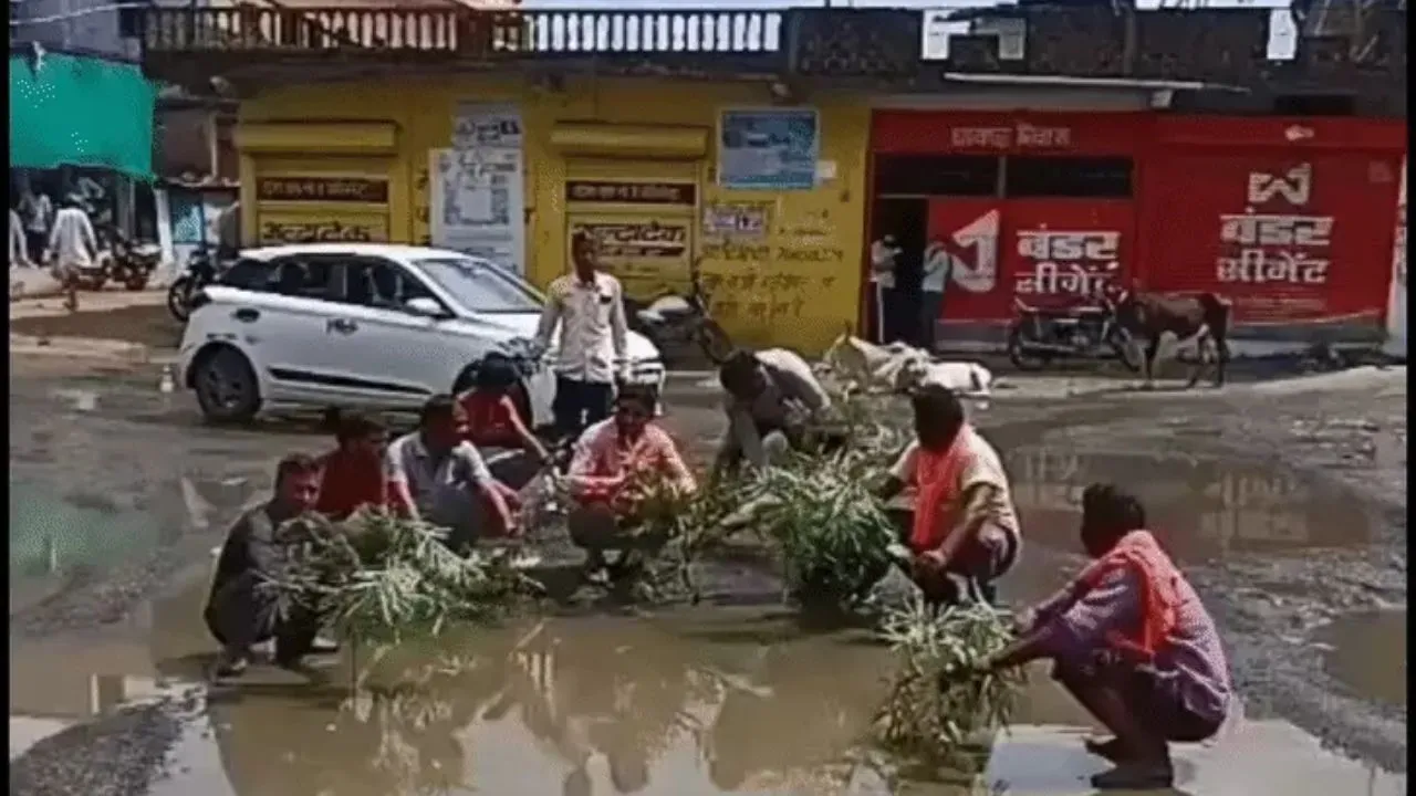 सीहोर में सड़कों की बदहाली पर अनोखा प्रदर्शन, पानी से भरे गड्ढों में ग्रामीणों ने रोप दिए पौधे