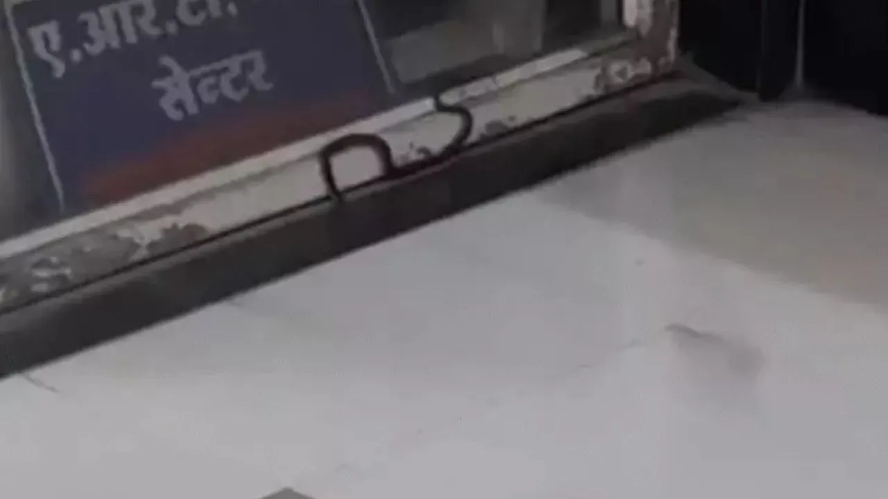 इंदौर के MY अस्पताल की न्यू OPD में घुसा सांप, सुबह-सुबह मचा हड़कंप