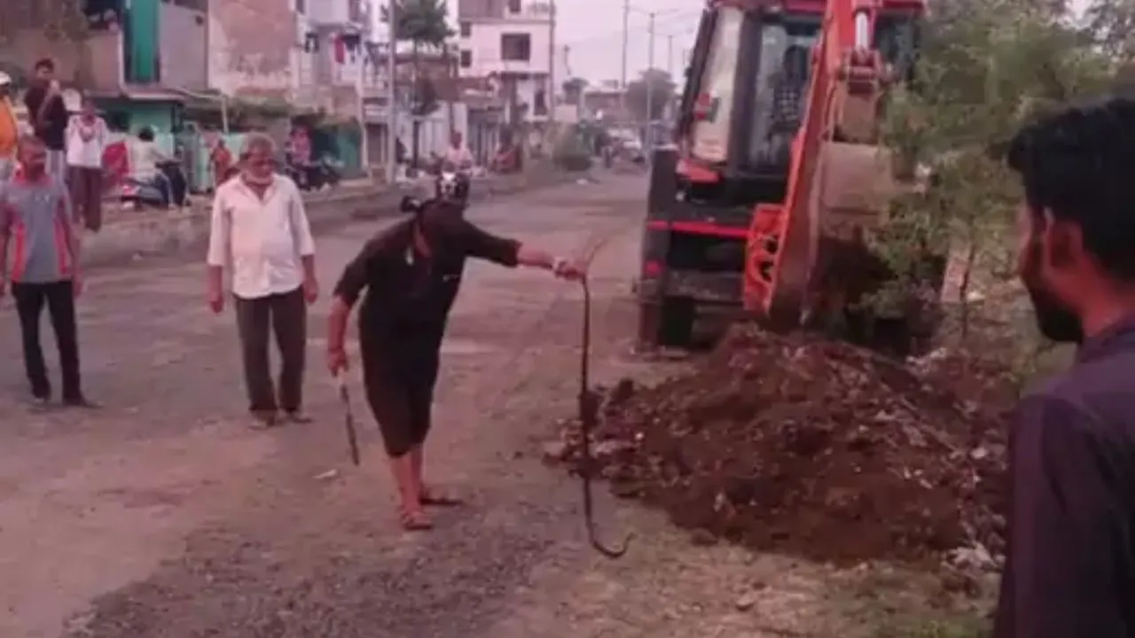 सागर में 5 फीट लंबे कोबरा का रेस्क्यू, बिल से निकालने के लिए बुलानी पड़ी JCB